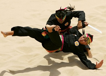 Sejarah Pencak Silat
