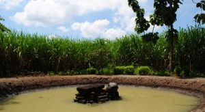 candi wangkal