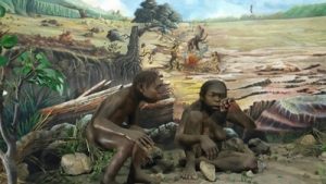 Koleksi di Museum Sangiran