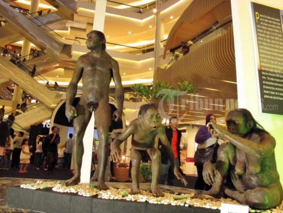 Koleksi Museum Sangiran
